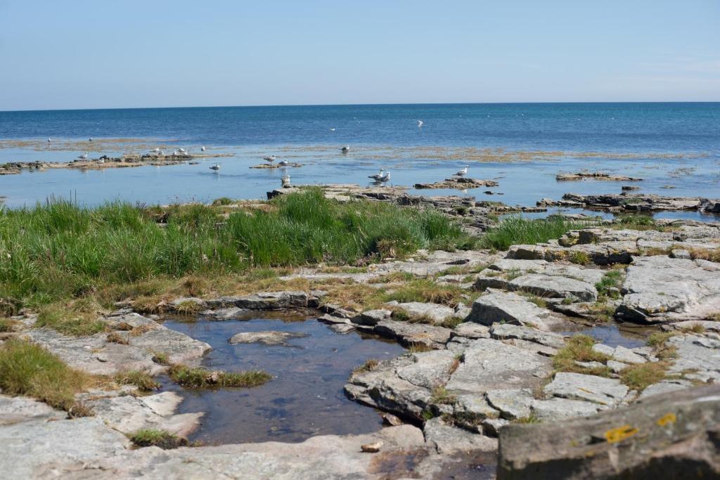 Strandhotel Balka Sobad Нексё Экстерьер фото